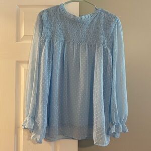 Light Blue Swiss Dot Smocked Long-Sleeve Top